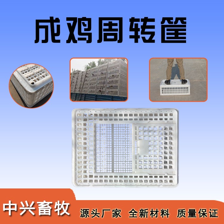方形周转鸡筐