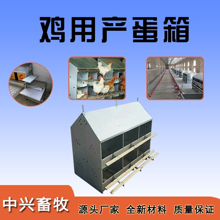 鸡用产蛋箱