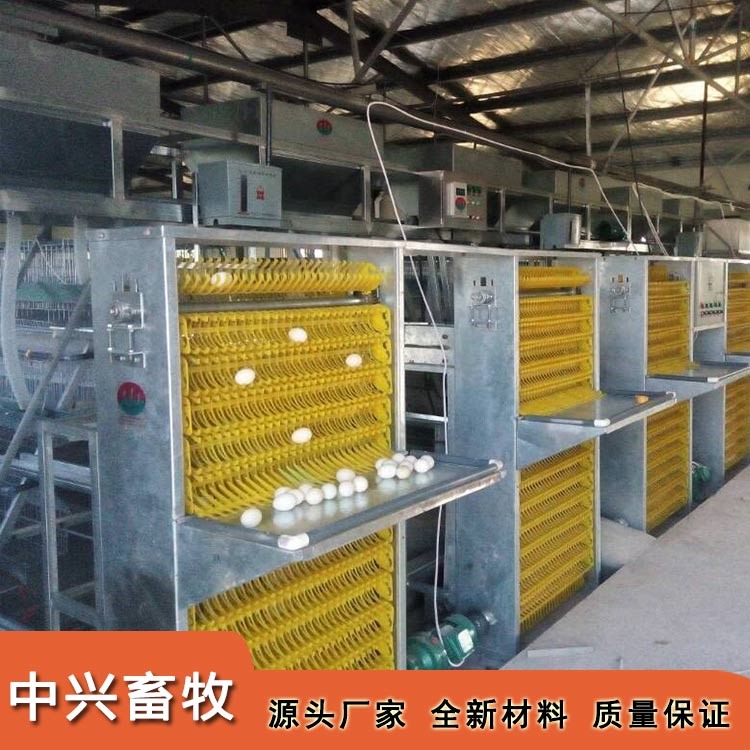 阶梯式蛋种鸡笼