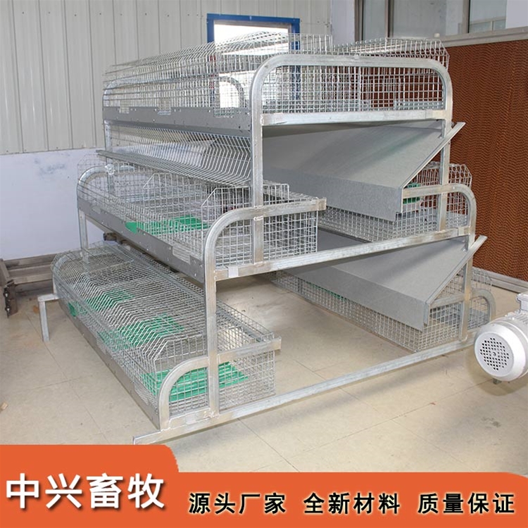 种兔繁殖育成一体笼