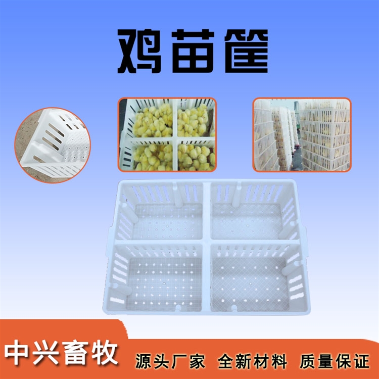 鸡苗筐